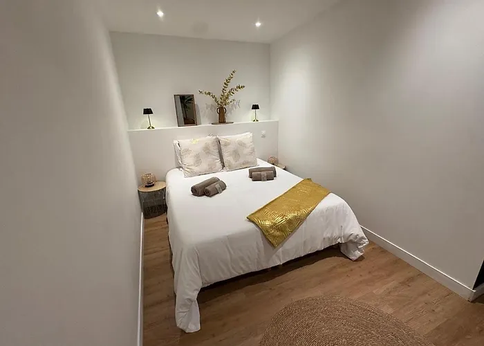 Appartement Le Bras D Or, Balneo Privee, Nausicaa