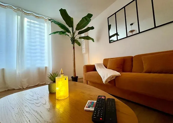 Appartement Le Bras D Or, Balneo Privee, Nausicaa